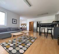 Prenájom 2 izbový 78 m2 + 30 m2 terasa,novostavba Koliba,zariadený - Obývacia izba v 2-izbovom byte s podlahou s dreveným dekorom a rozkladacím gaučom.