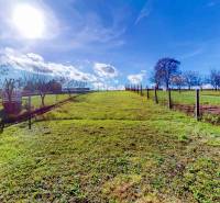 Rodinný dom Zvolen - Lieskovec - Slnečný pozemok v Lieskovci pre rodinný dom s oplotením a stromami na rovnej ploche.