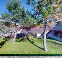 Rodinný dom Zvolen - Lieskovec - Záhrada rodinného domu v Lieskovci so stromami a trávnikom, vedľa drevenej budovy.