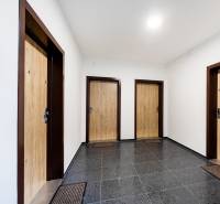 PRENÁJOM 3 izbový luxusný byt  v centre Nitry s veľkou terasou - Chodba s tromi vchodovými dverami a tmavou podlahou s dekoratívnymi prvkami.