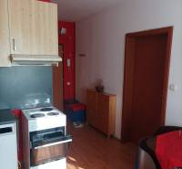 1-izb. byt, Pezinok - Sever, ul. Suvorovova - Kuchyňa v 1-izbovom byte s podlahou s dreveným dekorom.