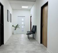 Kancelária s výhľadom na centrum Michaloviec. 16 m2 - Chodba v Kancelárie s bielymi stenami, rastlinou, stoličkami a dverami s dreveným dekorom.