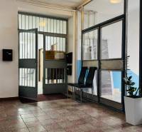 Kancelária s výhľadom na centrum Michaloviec. 16 m2 - Vstup do kancelárie s presklenými dverami, rastlinou a sedením.