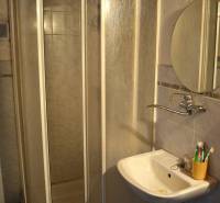 CHalúpka, na rekonštrukciu za cenu pozemku, dom Abrahám! - Kúpeľňa v rodinnom dome s kútovým sprchovacím kútom a umývadlom.