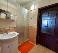 Na prenájom 3,5-izbový byt – Topoľčany, Sídlisko Východ - Kúpeľňa so sprchovým kútom a umývadlom v 3-izbovom byte, dlaždice a zrkadlo.