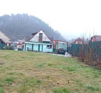 Útulný domček s dušou a moderným komfortom – Divín - Záhrada pri rodinnom dome na Cintorínskej ulici v Divíne, s výhľadom na les.