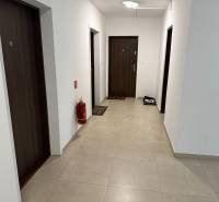 2-izbový byt novostavba s podzemným parkovaním- bez rezervačnej zálohy - Chodba v bytovom dome, vidno vstupné dvere do 2-izbových bytov.