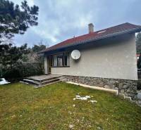 Predaj rekreačná chata s pozemkom, garážou a saunou Modra, Harmónia - Chata pri Modre s trávnatým pozemkom, kamennými schodmi a ihličnatými stromami.