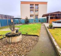 Na prenájom veľký 4-izbový byt s balkónom, garážou a záhradou, Kolta – - Záhrada pri 4-izbovom byte v Kolte so zeleňou, kôlňou a vonkajším krytým posedením.