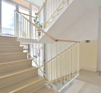 ŠTÚROVA, 3-i byt, 75 m2 – komplet rekonštrukcia, vlastné parkovanie - Interiér schodiska s presklenými stenami a rastlinou v 3-izbovom byte.