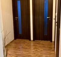 Prenájom 3 izbový byt, ulica Jána Poničana, BA IV. Devínska Nová Ves - Vstupná chodba s dvoma dverami, podlahou s dreveným dekorom a rastlinou.