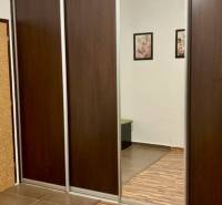 Prenájom 3 izbový byt, ulica Jána Poničana, BA IV. Devínska Nová Ves - Skriňa s posuvnými dverami a zrkadlom v 3-izbovom byte s podlahou s dreveným dekorom.