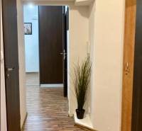 Prenájom 3 izbový byt, ulica Jána Poničana, BA IV. Devínska Nová Ves - Chodba v 3-izbovom byte s podlahou s dreveným dekorom a vstavanými skrinkami.