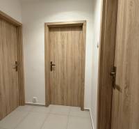 Ponúkame Vám do prenájmu 1 – izbový byt s balkónom v centre Martina - Chodba s troma dverami, dlažbou a dverami s dreveným dekorom, 1-izbový byt.