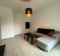 Ponúkame Vám do prenájmu 1 – izbový byt s balkónom v centre Martina - Obývacia izba s podlahou s dreveným dekorom, rozkladacou sedačkou a minimalistickým nábytkom v 1-izbovom byte.