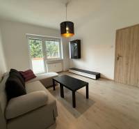 Ponúkame Vám do prenájmu 1 – izbový byt s balkónom v centre Martina - Obývacia izba zariadená sedačkou a stolíkom, podlaha s dreveným dekorom.