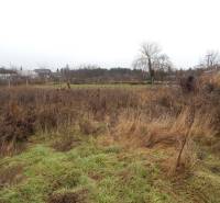  Na predaj 3 izbový dom v Kravanoch nad Dunajom s garážou . - Trávnatý pozemok s kríkmi a stromami v Kravanoch nad Dunajom, ideálny pre rodinný dom.