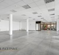 Na prenájom podnikateľský priestor, Topoľníky - Priestranné obchodné priestory s dlažbou, veľkými oknami a bielymi stenami.