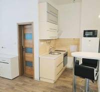 Prenájom, Garsónka, M.R.Štefánika, Centrum, Žilina - Garsónka s kuchynským kútom, barovým pultom a podlahou s dreveným dekorom.