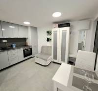 Záhrada s Tiny House, Zlaté piesky, dobrá poloha a dostupnosť - Kuchyňa v chate, s jedálenským stolom a šedými kuchynskými skrinkami.