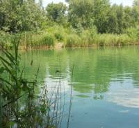 Záhrada s Tiny House, Zlaté piesky, dobrá poloha a dostupnosť - Zelené jazero obklopené vegetáciou v Bratislave - Ružinove na Studenej pri chate.