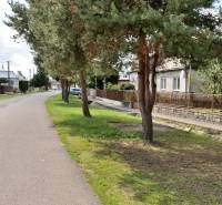 Pozemok v Lastomíre: veľkorysý priestor, pre široké možnosti, 1996 m2 - Ulica v Lastomíre s rodinnými domami a stromami, Pozemky - bývanie na predaj.