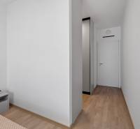 I Prenájom exkluzívneho 2-i bytu v projekte Metropolis - Chodba v 2-izbovom byte s podlahou s dreveným dekorom a svetlými stenami.