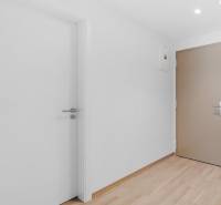 I Prenájom exkluzívneho 2-i bytu v projekte Metropolis - Vstupná chodba 2-izbového bytu s podlahou s dreveným dekorom a bielymi stenami.