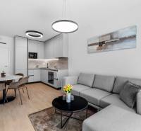 I Prenájom exkluzívneho 2-i bytu v projekte Metropolis - Štýlová obývačka a kuchyňa v 2-izbovom byte s podlahou s dreveným dekorom.