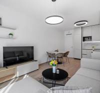 I Prenájom exkluzívneho 2-i bytu v projekte Metropolis - Obývačka s kuchyňou v 2-izbovom byte, svetlý gauč, televízor, podlaha s dreveným dekorom.
