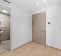 I Prenájom exkluzívneho 2-i bytu v projekte Metropolis - Vstupná chodba s podlahou s dreveným dekorom a kúpeľňa v 2-izbovom byte.