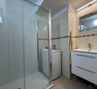 Na prenájom 2-izbový byt  Nové Zámky - Kúpeľňa v 2-izbovom byte s umývadlom, sprchovým kútom a práčkou.