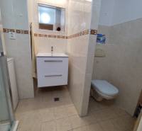 Na prenájom 2-izbový byt  Nové Zámky - Kúpeľňa v 2-izbovom byte s umývadlom, toaletou a sprchovacím kútom.