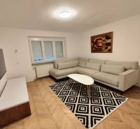 Na prenájom 2-izbový byt  Nové Zámky - Obývacia izba v 2-izbovom byte so sedačkou, televíziou a podlahou s dreveným dekorom.