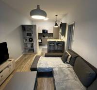 Predáme 2 izb byt v novostavbe v Senci  - Obývačka s kuchyňou v 2-izbovom byte, sivá sedačka, podlaha s dreveným dekorom.