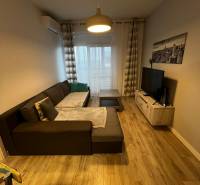 Predáme 2 izb byt v novostavbe v Senci  - Obývačka v 2-izbovom byte s pohodlnou sedačkou a podlahou s dreveným dekorom.