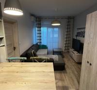 Predáme 2 izb byt v novostavbe v Senci  - Obývacia izba v 2-izbovom byte s pohovkou, stolom a podlahou s dreveným dekorom.