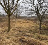 Predám pozemok v obci Dubník okr. Nové Zámky - Pozemok na bývanie v Dubníku na Dubníckej ulici, obklopený stromami a trávnatým porastom.