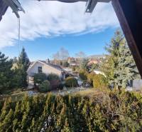 Viacgeneračný rodinný dom / investičná nehnuteľnosť – Dolná časť Zobor - Záhrada rodinného domu s výhľadom na Jeleneckú ulicu v Nitre, obklopená zeleňou.