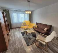 Prenajmem 3 izbový byt s loggiou v Nových Zámkoch - Obývačka v 3-izbovom byte s pohovkou, kreslom a podlahou s dreveným dekorom.