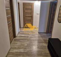 Prenajmem 3 izbový byt s loggiou v Nových Zámkoch - Chodba v 3-izbovom byte s podlahou s dreveným dekorom a viacerými dverami.