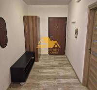 Prenajmem 3 izbový byt s loggiou v Nových Zámkoch - Útulná predsieň v 3-izbovom byte s podlahou s dreveným dekorom a skrinkou.