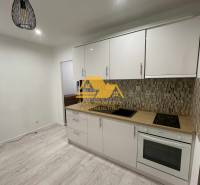 Prenajmem prerobený 1 izbový byt v Nových Zámkoch - Kuchyňa v 1-izbovom byte so svetlou linkou a podlahou s dreveným dekorom.