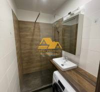 Prenajmem prerobený 1 izbový byt v Nových Zámkoch - Kúpeľňa v 1-izbovom byte s umývadlom, sprchovacím kútom a práčkou, drevený dekor.