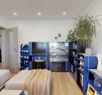 Vyššie už je nebo. 3izbový byt po kompletnej rekonštrukcii  - Obývacia izba so sedačkou, modrou obývacou stenou a podlahou s dreveným dekorom v 3-izbovom byte.