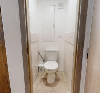 Vyššie už je nebo. 3izbový byt po kompletnej rekonštrukcii  - Toaleta s podlahou s dreveným dekorom v 3-izbovom byte.