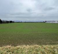 Pruské – Investičný pozemok v komasácii - Pozemky - komerčné v Pruskom so zeleným porastom, stromoradím a priemyselnými budovami v pozadí.