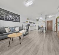 KOMPLETNE ZARIADENÝ 2-IZB. BYT,BALKÓN + PIVNICA,BUDATÍNSKA – PETRŽALKA - Obývacia izba v 2-izbovom byte s podlahou s dreveným dekorom, sivou sedačkou a rastlinami.