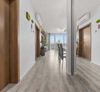 KOMPLETNE ZARIADENÝ 2-IZB. BYT,BALKÓN + PIVNICA,BUDATÍNSKA – PETRŽALKA - Interiér 2-izbového bytu s podlahou s dreveným dekorom, zrkadlom a klimatizáciou.