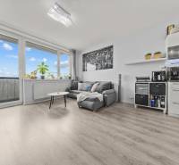 KOMPLETNE ZARIADENÝ 2-IZB. BYT,BALKÓN + PIVNICA,BUDATÍNSKA – PETRŽALKA - Obývacia časť 2-izbového bytu s pohovkou, stolíkom a podlahou s dreveným dekorom.